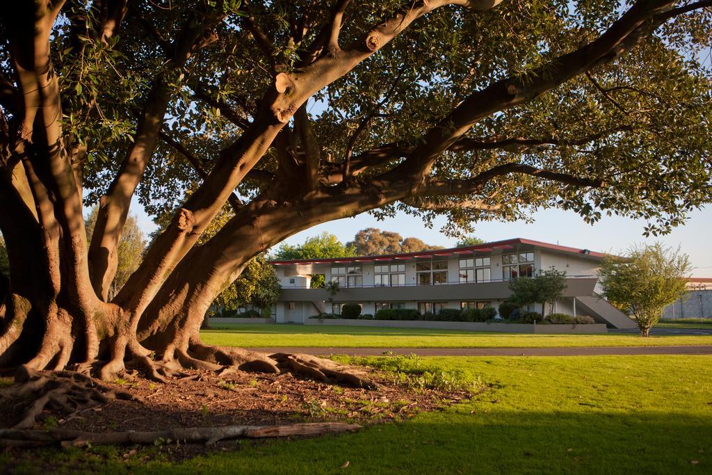 Kennedy Park Resort Napier Dış mekan fotoğraf
